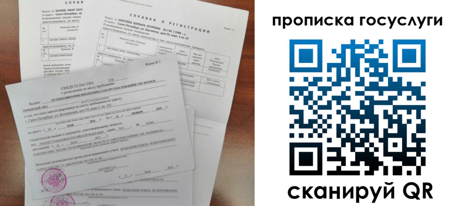 прописка в Бабаево